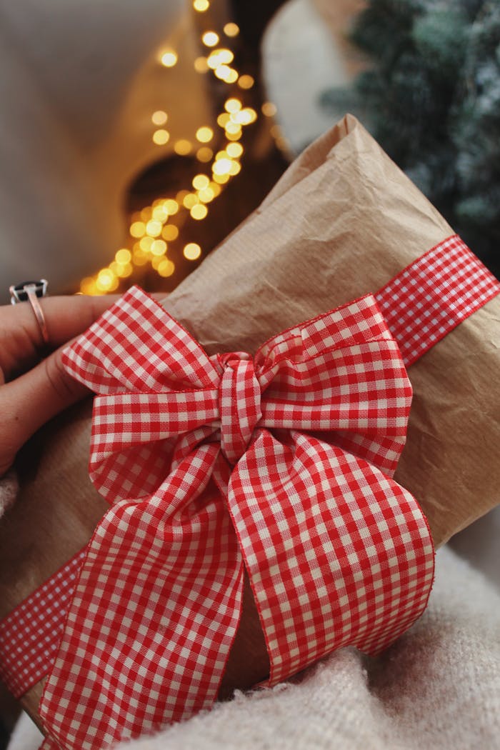 A beautiful Christmas gift wrapped in brown paper with a red checkered ribbon, held in hand.